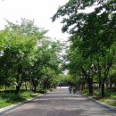 강원도립화목원 이미지