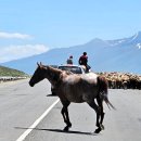 [중앙아시아 여행] 여행 20일차 : 톡토굴 저수지 - 비쉬켁(키르기스스탄)(2024.06.15) 이미지