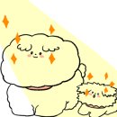 꼬치피네 이미지