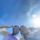 히든래빗 이미지