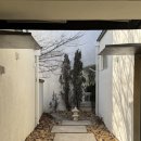 삼박한집 | 고성 속초 삼박한집 100호 아기랑 숙소 추천