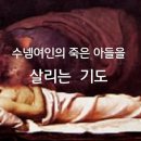 수넴