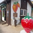 반석농장 이미지