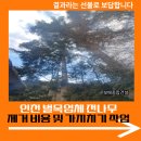 천안농협 경제복지종합센터 | 인천 벌목업체 전나무 제거 비용 및 가지치기 작업