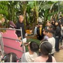 예성태권도 이미지