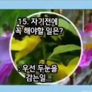 밥이면&밥마다 이미지