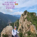 때아장 Daum카페