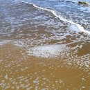 영일대해수욕장 갈매기화장실 이미지