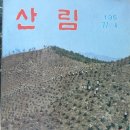 식목일담화문 네이버블로그