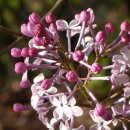 경안여자고등학교 이미지