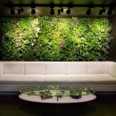 정원인터내셔날 이미지