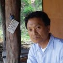 삼나무용단 시사IN