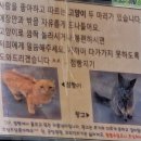 삼선산 수목원 | 삼선산수목원 방문후기