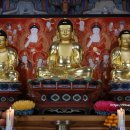 예향천리마실길 3코스 문수산단풍길 | 고창 애향천리 마실 길(솔재~문수사)왕복 16km 임도 자전거 타기