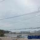 맛자랑식당 | [경기도 시흥시 오이도 맛집] "내돈내산" 맛자랑칼국수, 주차, 오이도 해물칼국수 맛집