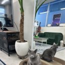 플루트 연주자 기초과정 | 동탄2 영천동 플루트 전문 수리샵! 폴인플루트에서 야마하&amp;보스톤 플룻수리 받고 온 후기