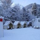 스키여행펜션 이미지