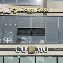 림앤도기살롱 이미지