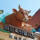 삼다몰보성