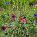 정동 행정사 사무소 이미지