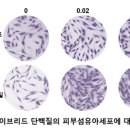 넥스젠