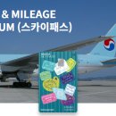 스카이플래티늄항공