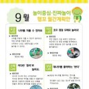 행꼬(행복한 꼬마 거북이) 이미지