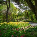 한택식물원주차장 이미지