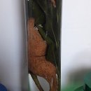 만의약초방 이미지