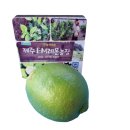 신진농장2 이미지