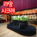 필스테이명동메트로점 | 1스타🌟평일 런치 다녀온 후기! 디저트 굿바이 키스...추천👍🏻정식당 스와니예 시그니엘 스테이 등과의 비교