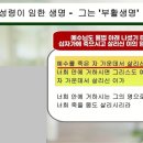 삼일영이 이미지