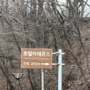 맛대구탕 | 속초 아침식사하기 좋은 속초 맛 생대구탕 후기