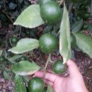 샘물농장 이미지