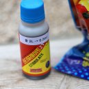 동해종묘사 이미지