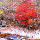 피아골단풍민박 이미지