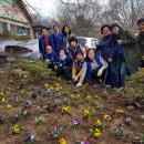 덕진동 주민센터 이미지