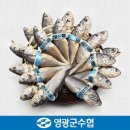 영광군수산업협동조합 - 3638 | 영광군수산업협동조합