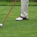 임팩트골프 이미지