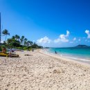비치(Beach) 이미지