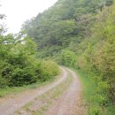 고동산민박 이미지