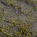 동해~애 이미지