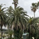 (주)리멤버제주 이미지