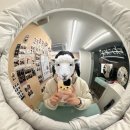 영광수지 제2사업장 | [대대봉] 대대봉 8기 입단식 후기 | *ଘ(੭*ˊᵕˋ)੭* ੈ✩‧₊˚