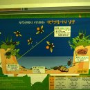 무주군(4종) 네이버블로그