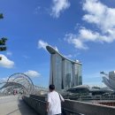 (주) 수퍼트리 | 도심 속 자연을 느낄 수 있는 “가든스바이더베이”🌴 (+ 클라우드 포레스트, 플라워 돔, 슈퍼트리 쇼 후기)