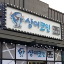 상어코인노래연습장 이미지