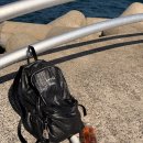 에브리데이 | 러닝 후 쿨다운 루틴 | 바이탈러시 에브리데이콜드플런치 후기