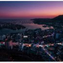 황제 행정사사무소 이미지