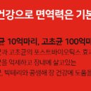 평택튼튼약국 이미지